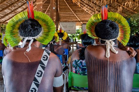 kainpopoy. com|Kayapo .
